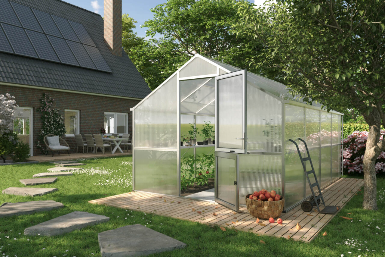 gewaechshaus kgt nelke IV